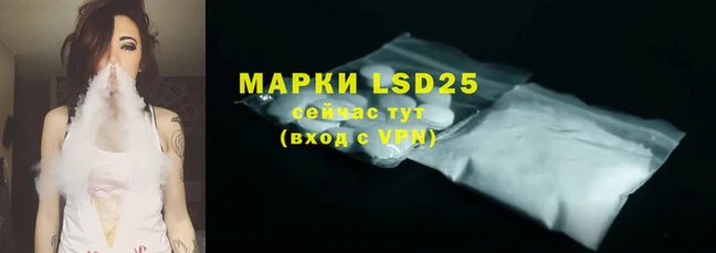 крисы Вязьма