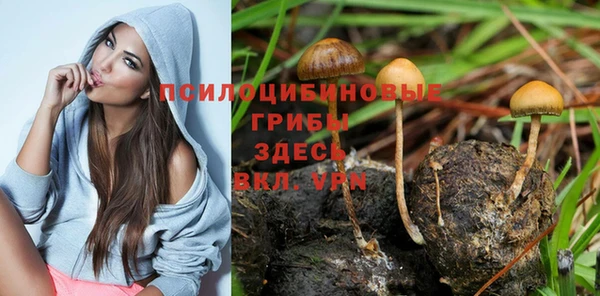 COCAINE Вязники
