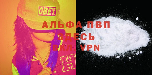 крисы Вязьма