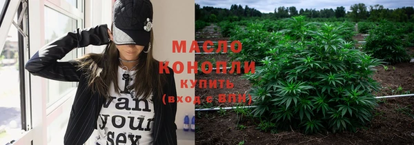 крисы Вязьма