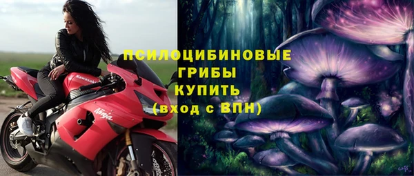 а пвп мука Вяземский