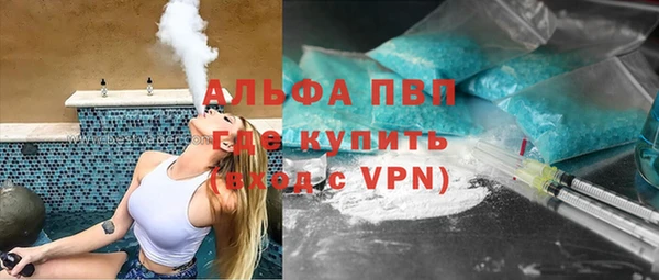 крисы Вязьма