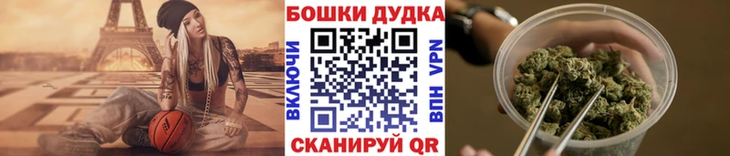 Канабис ГИДРОПОН  Купить где  Севск 